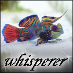 Whisperer's Avatar