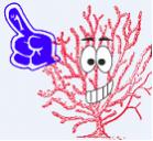 SEA Fan's Avatar