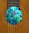 Wet_Fretboards's Avatar