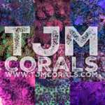 TJM_Corals's Avatar