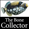 Bone'Collector's Avatar