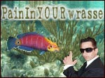 paininthewrasse's Avatar