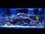Da Kind Reef's Avatar
