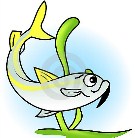 ReefGoatfish's Avatar